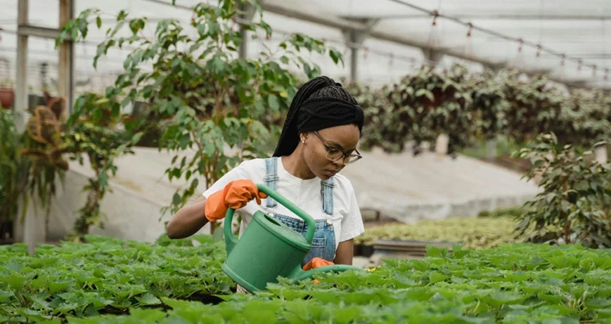 Ultrices sagittis orci a scelerisque purus semper eget duis at. Sollicitudin nibh sit amet.