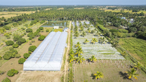 Photo from customer review