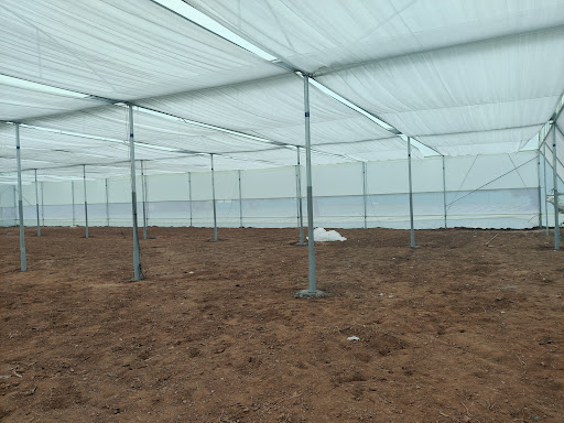 Photo from customer review