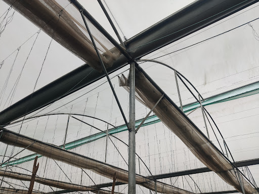 Photo from customer review